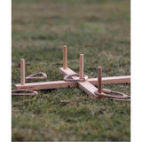 Gioco lancio degli anelli in legno - Colorato